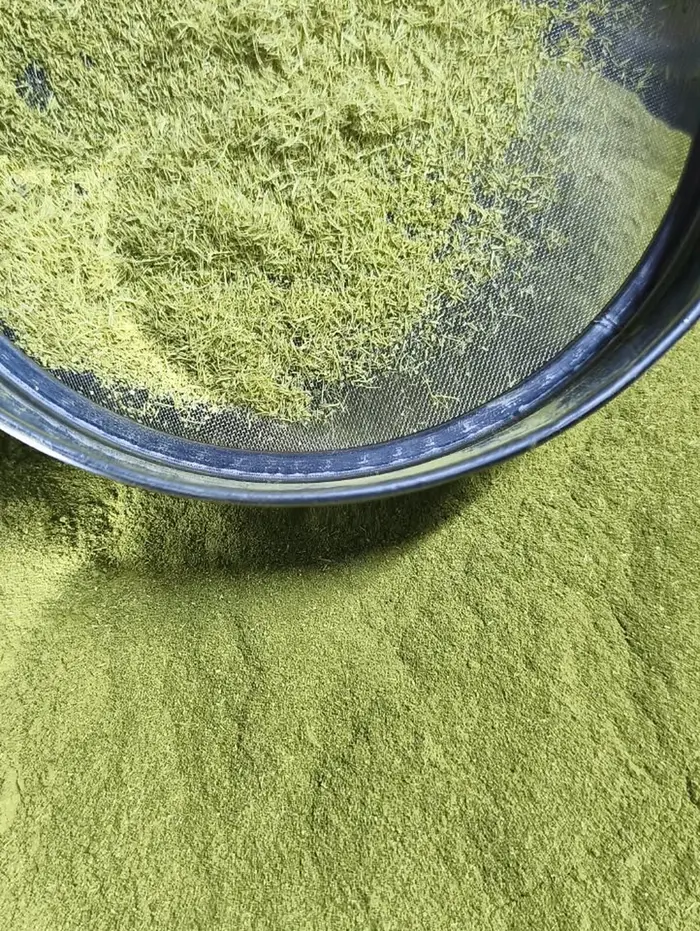 Tamisage de la poudre de feuilles de combava séchées et broyées, à l'atelier