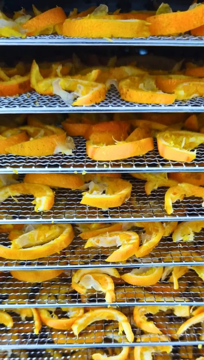 Écorces d'orange péi en séchage dans le déshydrateur de l'atelier